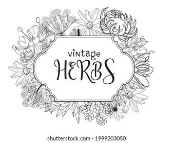 Template card with medicinal herbs. vector template. Wild medicinal plants. Retro flowers. Hand drawing illustration. Engraving style. Botanical illustration. Pharmacy herbs labels. Fresh local organi