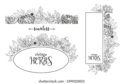 Tarjeta de plantilla con hierbas medicinales. plantilla vectorial. Plantas medicinales silvestres. Flores retro. Ilustración de dibujo manual. Estilo de grabado. Ilustración botánica. Etiquetas de hierbas para la farmacia. Organi local fresco