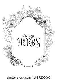 Template card with medicinal herbs. vector template. Wild medicinal plants. Retro flowers. Hand drawing illustration. Engraving style. Botanical illustration. Pharmacy herbs labels. Fresh local organi