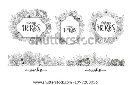 Template card with medicinal herbs. vector template. Wild medicinal plants. Retro flowers. Hand drawing illustration. Engraving style. Botanical illustration. Pharmacy herbs labels. Fresh local organi