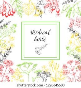 Template card with medicinal herbs. Wild healing plants. Vintage flowers. Hand drawing illustration. Engravings style. Botanical illustration. Pharmacy herbs. Sketch. Frame with medical plants.