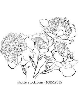 Template for card Peony flowers