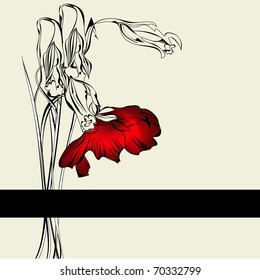 Template for card with red poppy flower