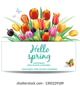 Template for cards from arrangement with multicolor tulips flowers