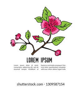 Template with cherry blossoms and text frame. Hand drawn style. Design element for leaflets, greeting cards or posters.