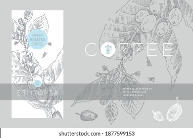 Plantilla Diseño de empaquetado de café con ilustración de la rama de café en estilo grabado. Etiqueta de café especial. Pancarta vintage para café recién tostado. Símbolo de cafeína natural. Plantilla del logotipo del café.