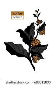 Template of color branch of coffee tree with leaves and natural coffee beans. Organic product. Silhouette, art line. Botanical illustration. Vector isolated on white background eps.10