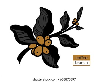 Template of color branch of coffee tree with leaves and natural coffee beans. Organic product. Silhouette, art line. Botanical illustration. Vector isolated on white background eps.10