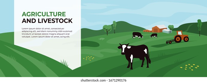 Template with copy space for agriculture, livestock or dairy company. Agricultural landscape with tractor and cows. Vector illustration of farm land, cattle, panoramic scene. Design for banner, flyer.