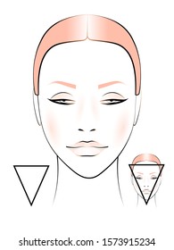 template for creating makeup with the image of a female face triangular shape