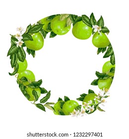 Template decorative vector element with citrus fruits in circle design graphic illustration