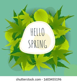 Template design banner for spring season. Hello spring postcard, poster, card