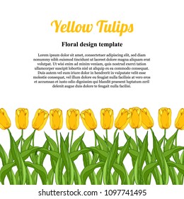 Template design card, yellow tulips on a white background, floral frame, hand drawn elements, vector illustration