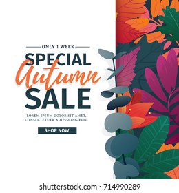 Template design discount banner for autumn season. Poster for special fall sale with flower, leaf decoration. Layout for autumnal offer on natural, floral background. Vector.