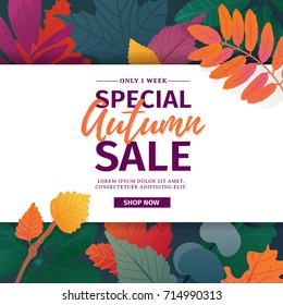 Template design discount banner for autumn season. Poster for special fall sale with flower and herb, autumnal leaf decoration. Layout  for offer and promotion on natural, floral background. Vector