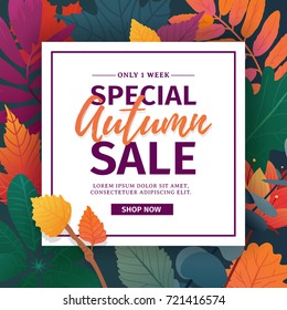 Template design discount banner for autumn season. Poster for special fall sale with flower and herb, autumnal leaf decoration. Layout  for offer and promotion on natural, floral background. Vector