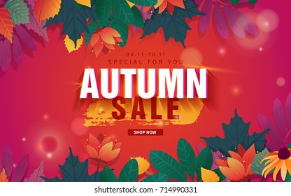 Template design discount web banner for autumn season. For special fall sale with flower and herb, autumnal leaf decoration. Layout for offer and promotion on natural, floral background. Vector. 