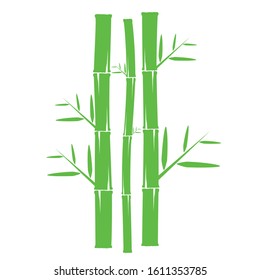 Template design logo bamboo. Vector illustration of icon