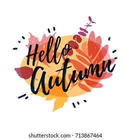Template design of logos, stamps, badges, labels Hello, Autumn. Fall season banner on colored silhouette autumnal herb, maple leaf decoration. Vector