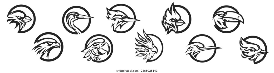 Template for design mascot, label, badge, emblem, print. Hand drawn silhouettes head birds heron, parrot, red cardinal, sparrow, kingfisher, toucan, woodpecker, blue jay, eagle. Art illustration.