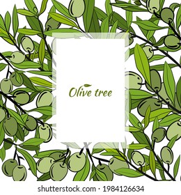 Template for design with olive fruits and tree branches. Olive tree branch hand drawn illustration in sketch style. Design elements for label, emblem, banner.