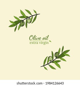 Template for design with olive fruits and tree branches. Olive tree branch hand drawn illustration in sketch style. Design elements for label, emblem, banner.