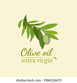 Template for design with olive fruits and tree branches. Olive tree branch hand drawn illustration in sketch style. Design elements for label, emblem, banner.