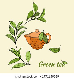 Template for design with a set of tea leaves.Silhouettes of branches and leaves of a tea bush.Skcetch of tea leaves. Botanical illustration.
