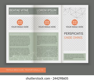 Template design of trifold brochure with polygonal grid. Editable and light vector with places for photos. Proportionally A4