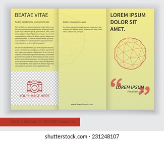 Template design of trifold brochure with polygons, polygonal sphere. Editable and bright vector with places for photos. Proportionally A4