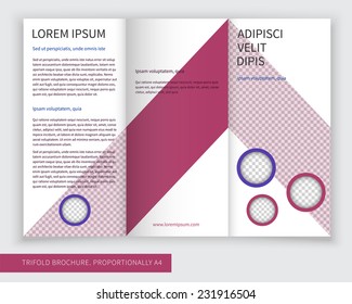 Template design of violet trifold brochure with stripes and circles. Editable and light vector with places for photos. Proportionally A4