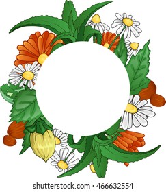 template of different plants and flowers with space for text Concept of organic cosmetics