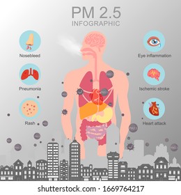 Template effects of PM2.5 on external and internal organs.