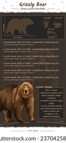 plantilla Hechos sobre el oso Grizzly. anatomía, conjunto de iconos, identificación y descripción. Se puede usar para temas como biología, zoología