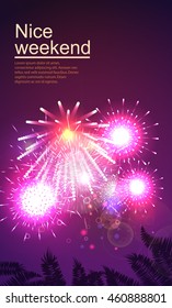 template with fireworks in the sky and palm