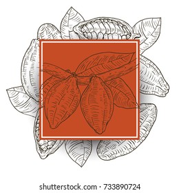 Template frame with cocoa beans in retro vintage hand drawn, sketches, engraved style. Design elements for banner, cover, label, package, promote. Isolated on white background. Vector illustration.