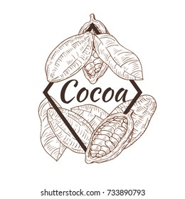 Template frame with cocoa beans in retro vintage hand drawn, sketches, engraved style. Design elements for banner, cover, label, package, promote. Isolated on white background. Vector illustration.