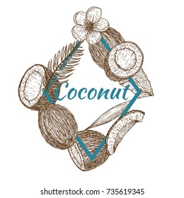 Template frame with coconut in retro vintage hand drawn, sketches, engraved style. Design elements for banner, cover, label, package, promote. Isolated on white background. Modern vector illustration.