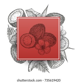 Template frame with coconut in retro vintage hand drawn, sketches, engraved style. Design elements for banner, cover, label, package, promote. Isolated on white background. Modern vector illustration.