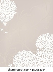 Template frame  design for card. 