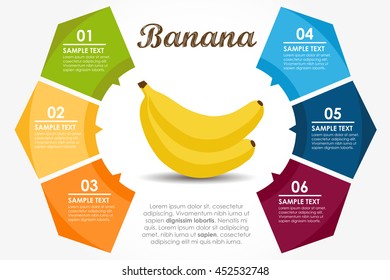 Template fruits nutritional properties. Banana circle info-graphic. Vector illustration 