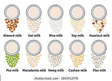 Template of glasses with plant-based milk. Vegan milk in glass. Top view. Almond, soy, rice, cashew, oat, pea, flax, walnut, hemp, hazelnut milk. Milk alternatives. Hand drawn vector illustration.