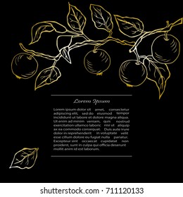 Template with golden apples on black background. Text copy frame template. It can be used for flyers, cover, invitation, birthday, greetings, Thanksgiving, Shana Tova card. Vector illustration.