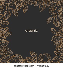 Template of golden realistic branches with leaves, berry and flowers. Organic plant. Silhouette, art line. Botanical illustration in circle. Sketch. Vector isolated on black background eps.10
