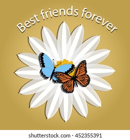 Template for greeting card with friendship day. Pair of butterflies on a chamomile flower. Best friends forever. Poster vector illustration