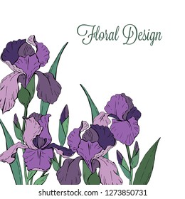 Template for greeting card with garden flowers iris on a white background, vector illustration