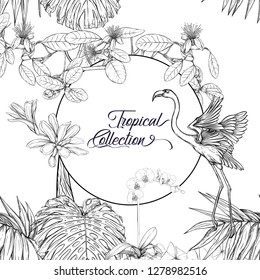 Template for greeting card for birthday,  invitation or banner  with tropical plants, palm leaves, monsters and  orchids and flamingo In botanical style.
Outline hand drawing vector illustration.