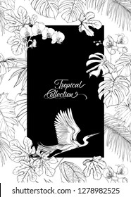 Template for greeting card for birthday,  invitation or banner  with tropical plants, palm leaves, monsters and orchids and bird In botanical style. Outline hand drawing vector illustration.
