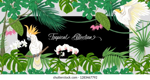 Template for greeting card for birthday,  invitation or banner  with tropical plants, palm leaves, monsters and white orchids with cockatoo parrot. Colored vector illustration.

