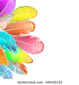 Template greeting card or invitation with feathers.